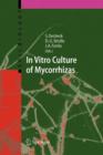 Image for In Vitro Culture of Mycorrhizas