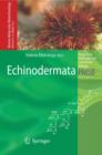 Image for Echinodermata