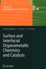 Image for Surface and interfacial organometallic chemistry and catalysis