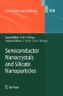 Image for Semiconductor Nanocrystals and Silicate Nanoparticles