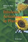 Image for Ethylene Action in Plants