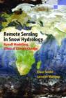 Image for Remote Sensing in Snow Hydrology