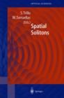 Image for Spatial Solitons