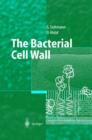 Image for The bacterial cell wall