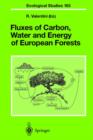 Image for Fluxes of Carbon, Water and Energy of European Forests