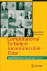 Image for Computational Turbulent Incompressible Flow