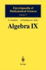 Image for Algebra IX