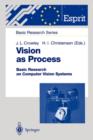 Image for Vision as Process