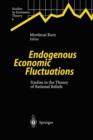 Image for Endogenous economic fluctuations  : studies in the theory of rational beliefs