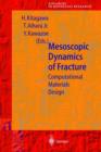 Image for Mesoscopic Dynamics of Fracture
