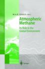 Image for Atmospheric Methane
