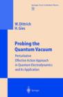 Image for Probing the Quantum Vacuum