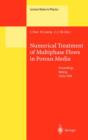 Image for Numerical treatment of multiphase flows in porous media  : proceedings of the international workshop held at Beijing, China, 2-6 August, 1999