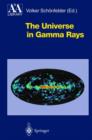 Image for The Universe in Gamma Rays