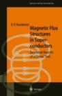 Image for Magnetic Flux Structures in Superconductors
