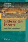 Image for Subterranean Rodents : News from Underground
