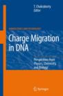 Image for Charge Migration in DNA