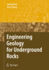 Image for Engineering Geology for Underground Rocks