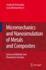 Image for Micromechanics and Nanosimulation of Metals and Composites