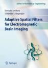 Image for Adaptive spatial filters for electromagnetic brain imaging