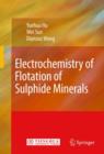 Image for Electrochemistry of Flotation of Sulphide Minerals