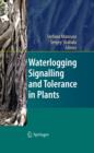 Image for Waterlogging signalling and tolerance in plants