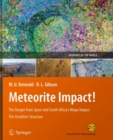 Image for Meteorite impact: the danger from space and South Africa&#39;s mega-impact