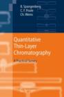 Image for Quantitative thin-layer chromatography  : a practical survey