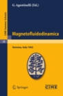 Image for Magnetofluidodinamica: Lectures given at a Summer School of the Centro Internazionale Matematico Estivo (C.I.M.E.) held in Varenna (Como), Italy, September 28-October 6, 1962 : 28