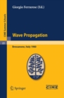 Image for Wave Propagation: lectures given at the Centro internazionale matematico estivo (C.I.M.E.) held in Bressanone (Bolzano), Italy, June 8-17, 1980