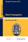 Image for Wave Propagation