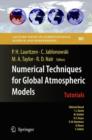 Image for Numerical Techniques for Global Atmospheric Models