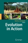 Image for Evolution in action: case studies in adaptive radiation, speciation and the origin of biodiversity