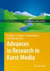 Image for Advances in Research in Karst Media