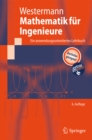 Image for Mathematik fur Ingenieure: Ein anwendungsorientiertes Lehrbuch