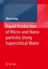 Image for Rapid Production of Micro- and Nano-particles Using Supercritical Water