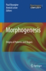 Image for Morphogenesis: Origins of Patterns and Shapes