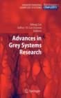 Image for Advances in Grey Systems Research