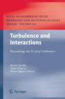 Image for Turbulence and Interactions