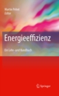 Image for Energieeffizienz: Ein Lehr- und Handbuch
