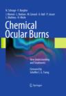 Image for Chemical ocular burns: new understanding and treatments