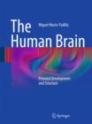 Image for The human brain  : prenatal development and structure
