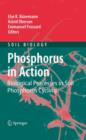 Image for Phosphorus in Action : Biological Processes in Soil Phosphorus Cycling