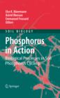 Image for Phosphorus in action: biological processes in soil phosphorus cycling
