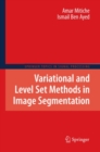 Image for Variational and level set methods in image segmentation : 5