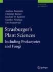 Image for Strasburger&#39;s Plant Sciences: Including Prokaryotes and Fungi