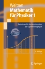Image for Mathematik Fur Physiker 1: Basiswissen Fur Das Grundstudium Der Experimentalphysik