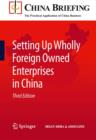 Image for Setting up wholly foreign owned enterprises in China
