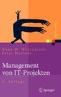 Image for Management von IT-Projekten : Von der Planung zur Realisierung