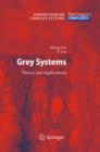 Image for Grey Systems: Theory and Applications